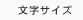 �����T�C�Y