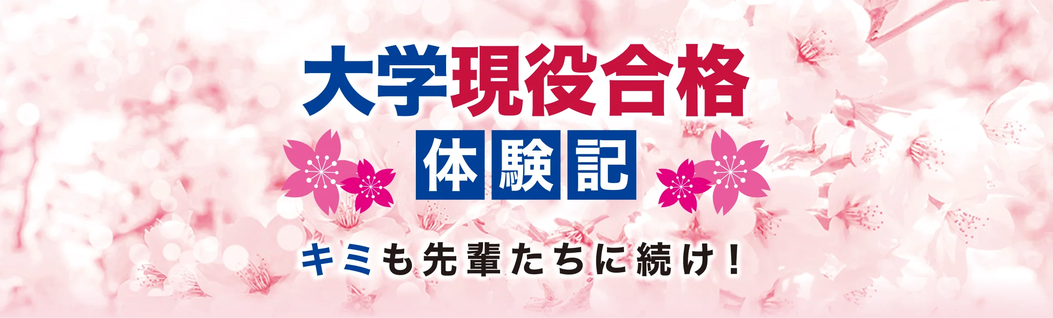大学現役合格　体験記　キミも先輩たちに続け!