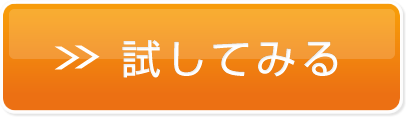 試してみる