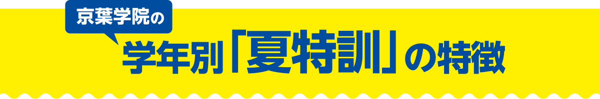 学年別「夏特訓」の特徴